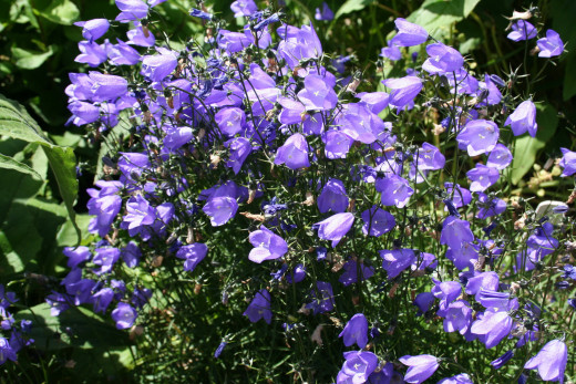 860046 (a): :2700x1800